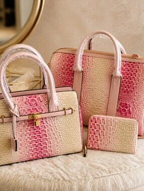 Pink Ombre Croc-Embossed Women’s Handbag Set NWT